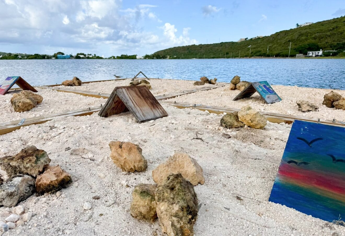 Floating rafts create safe nesting spaces for birds at Road Salt Pond ...