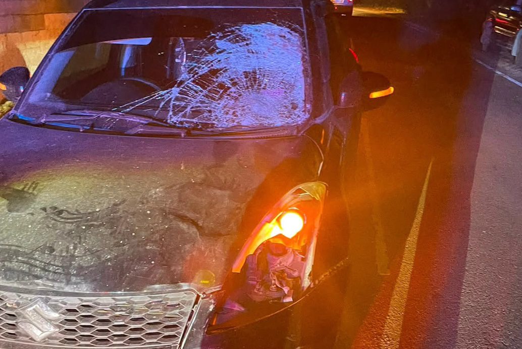 Horse dies after being struck by vehicle on West End main road