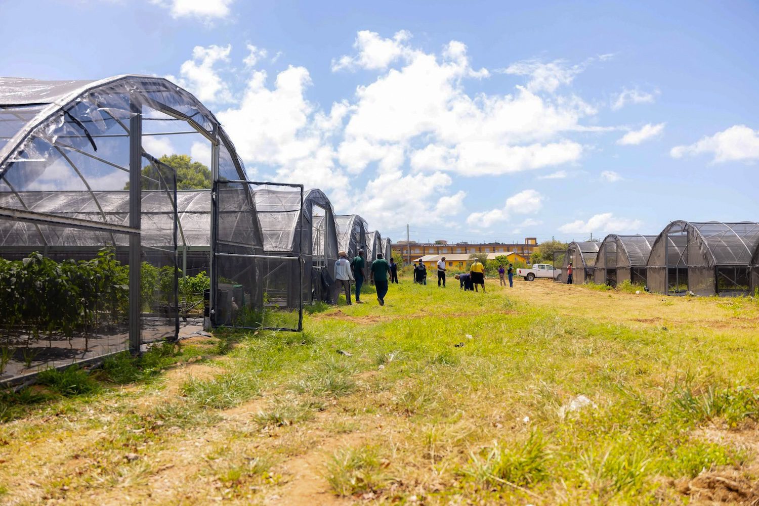 ECCB approves EC$2.4m grant to boost Anguilla’s food security initiatives
