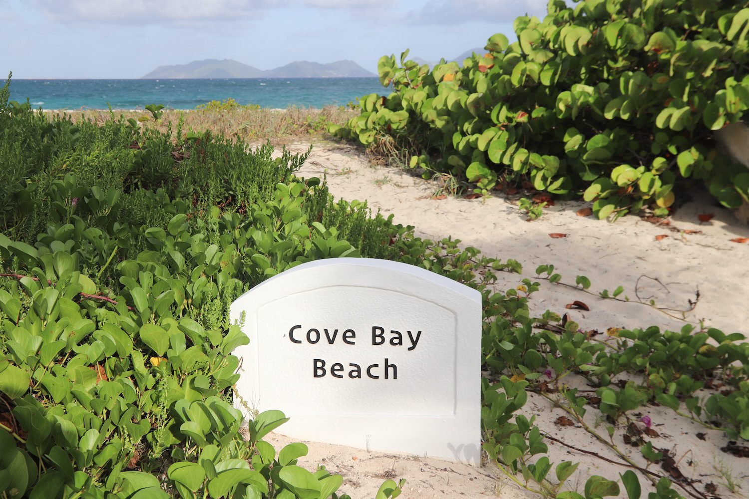 Cove Bay wharf to undergo ‘urgent’ rehabilitation ahead of tourist season