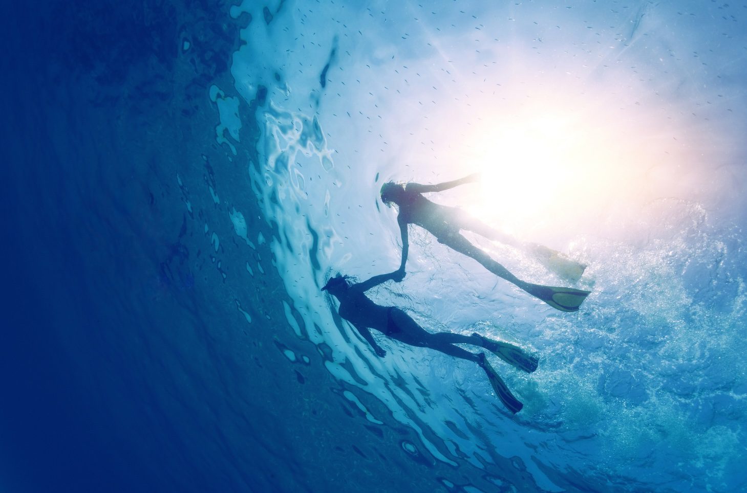 Anguilla Focus giveaway: Win a two‑hour snorkel trip for two with Scuba Shack